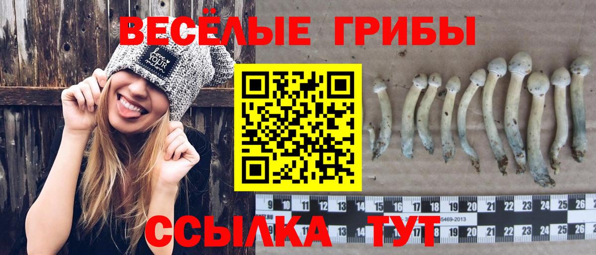 Галлюциногенные грибы мухоморы Оренбург