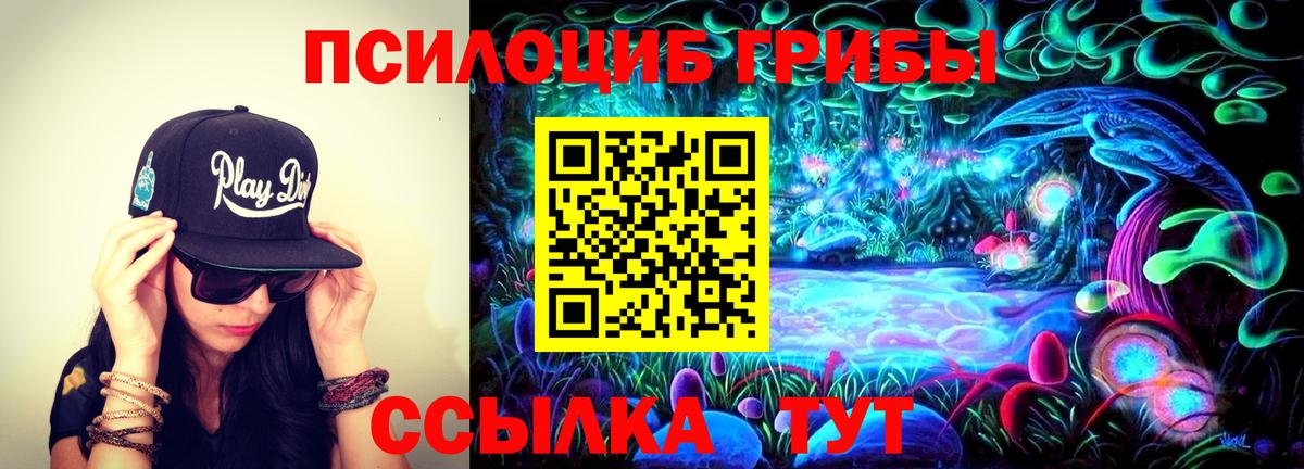 Оренбург  Галлюциногенные грибы мухоморы  Вход с VPN 